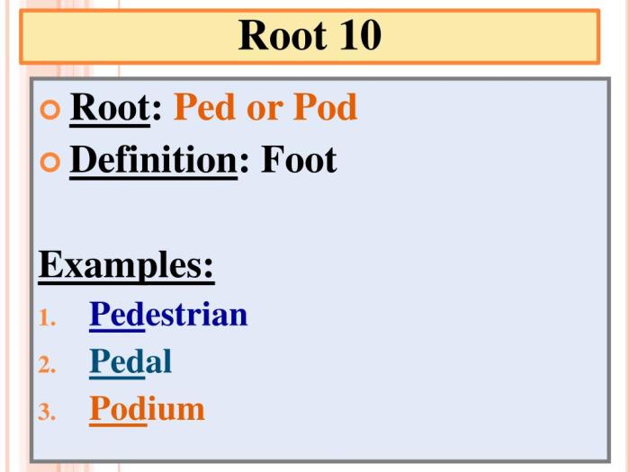 Root words ped prefixes suffixes zoology pedometer means foot example