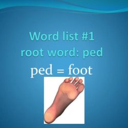 Ped and pod root words