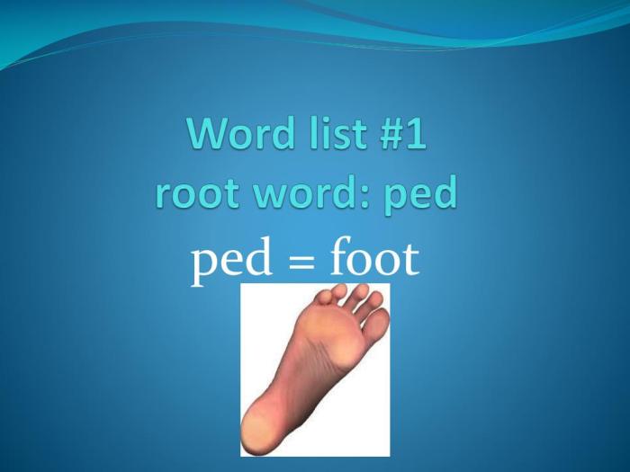 Ped and pod root words