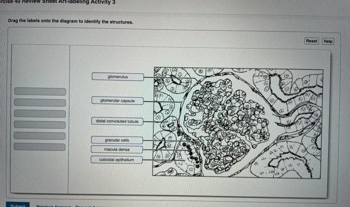 Exercise solved transcribed text show