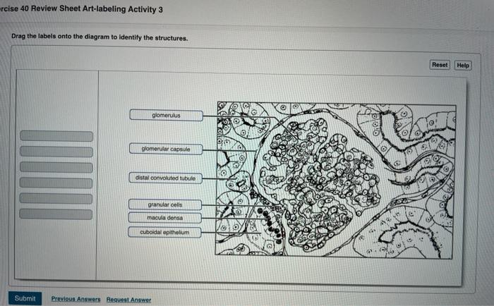 Exercise solved transcribed text show