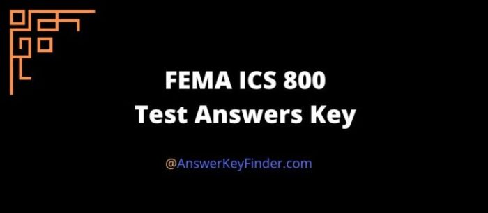 Fema is 800 final exam answers