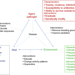 Esquema de la cadena epidemiologica