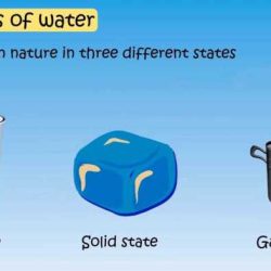 Properties of water webquest answer