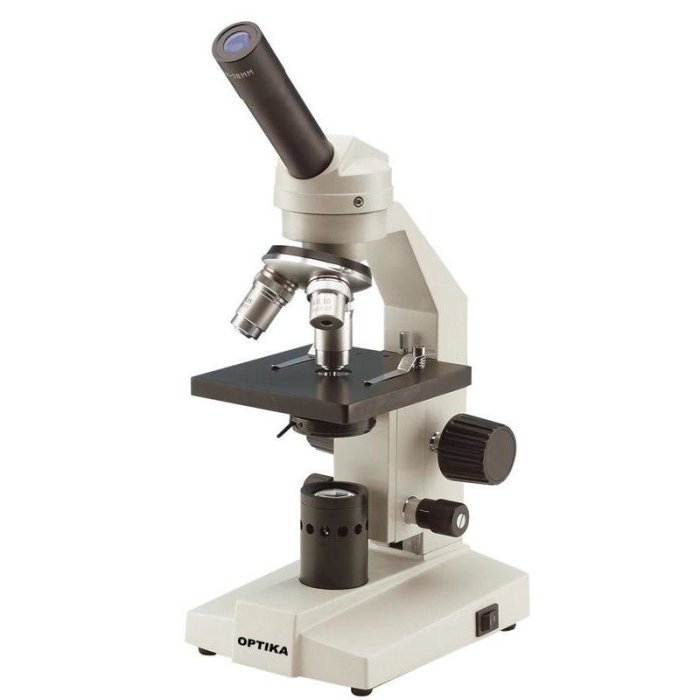 Exercise 3 review sheet the microscope