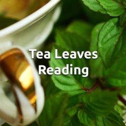 Two leaves reading quiz answers