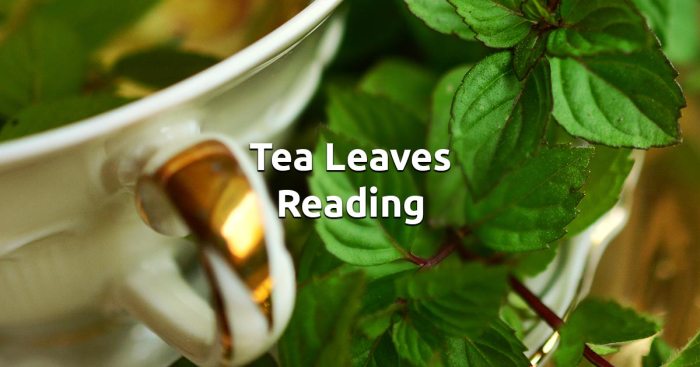 Two leaves reading quiz answers