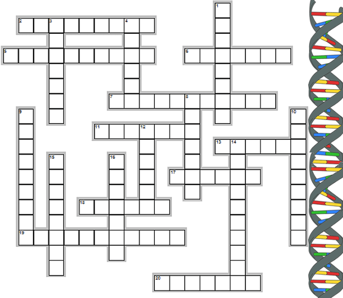 Biochemistry crossword puzzle answer key