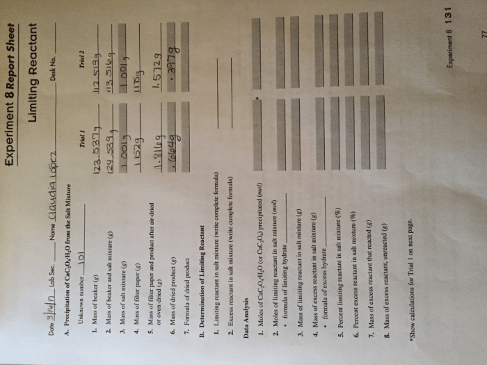 Experiment 8 limiting reactant report sheet