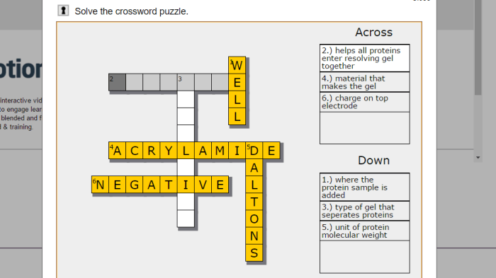 Biochemistry crossword puzzle answer key