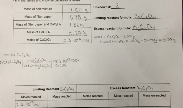 Experiment 8 limiting reactant report sheet