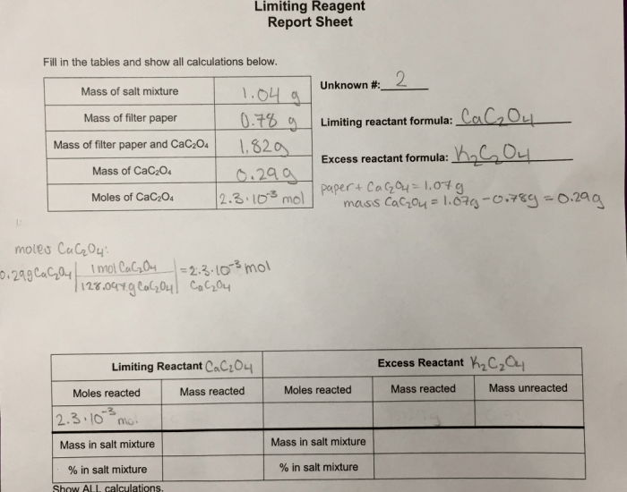 Experiment 8 limiting reactant report sheet