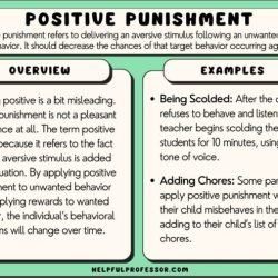 The social dilemma viewing guide answer key