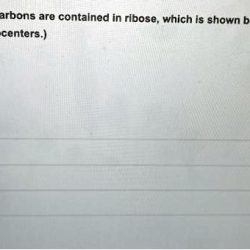 How many chiral carbons are contained in the following structure