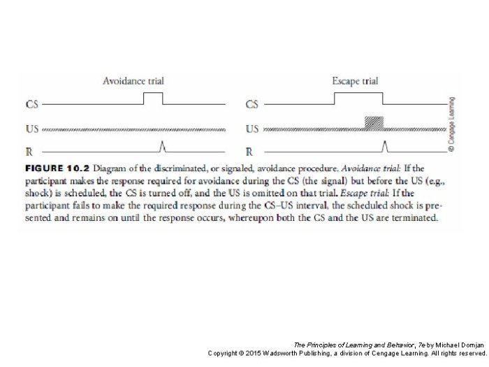 Michael domjan the principles of learning and behavior